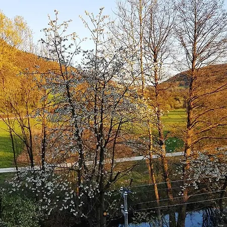 Apartment Pegnitzmuehle Mit Pegnitzinsel Vorra Esterno foto